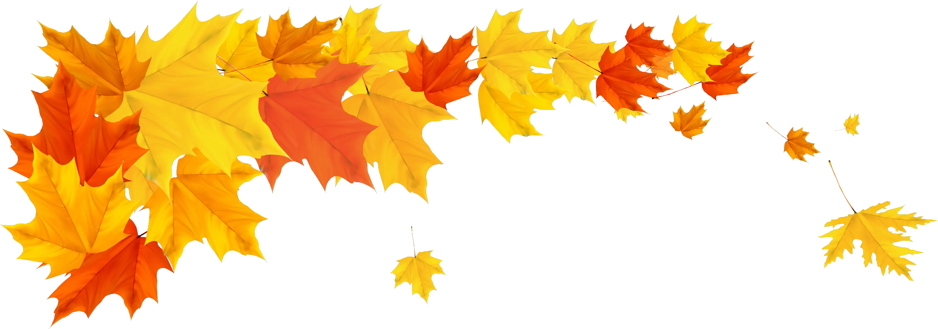  Clip Art Fall Tree Royalty Free Fall Leaves Border Png