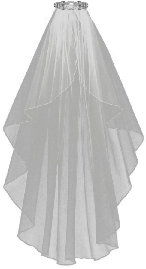  ghost bride veilfreetoedit Veil