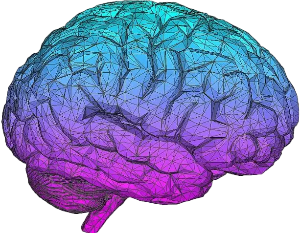 Blue Brain Download Png Image Aesthetic Brain Transparent
