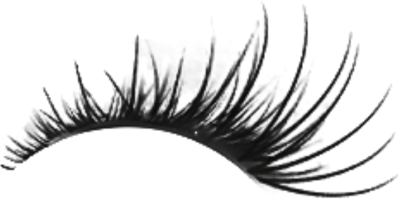  Transparent Eyelash Clipart Eyelash Png