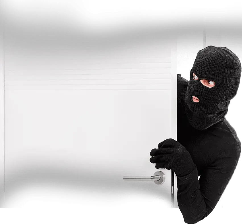  Thief