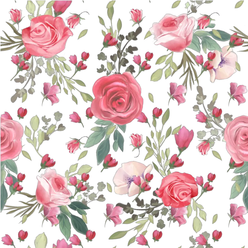  Fondos Con Flores Png