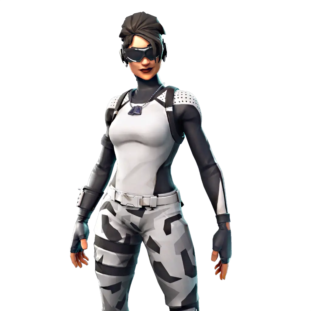  Fortnite Characters Png Arctic Assassin Png
