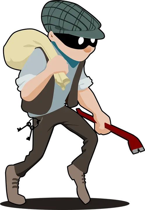  Thief