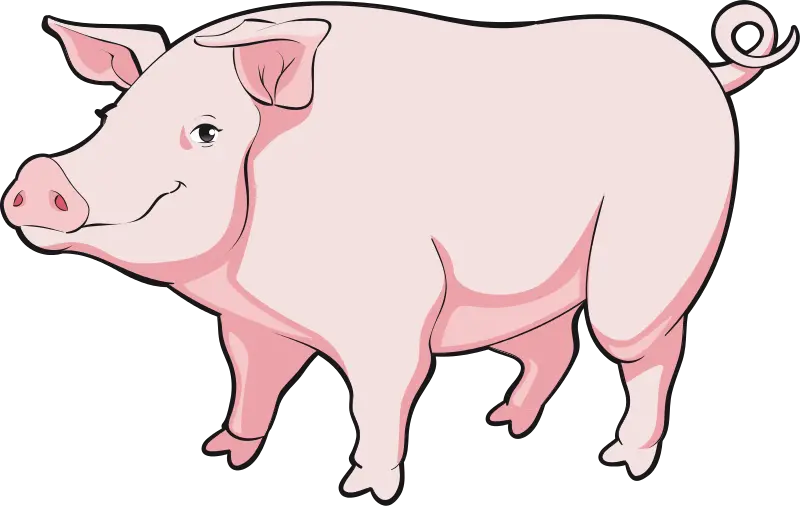  Transparent Baby Pig Clipart Realistic Pig Png Clipart