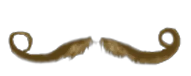  Moustache PNG