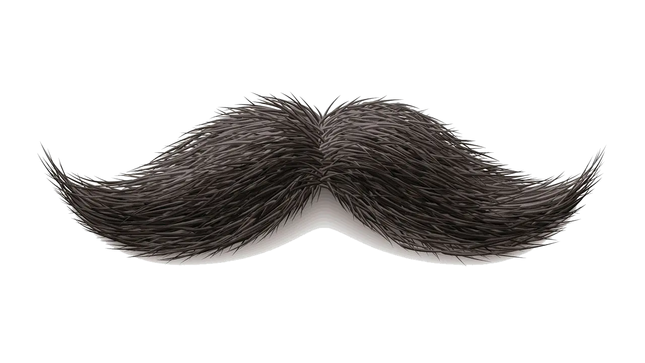  Moustache PNG