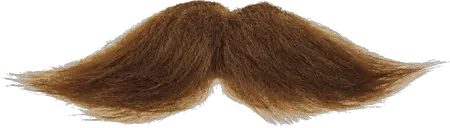  Moustache PNG